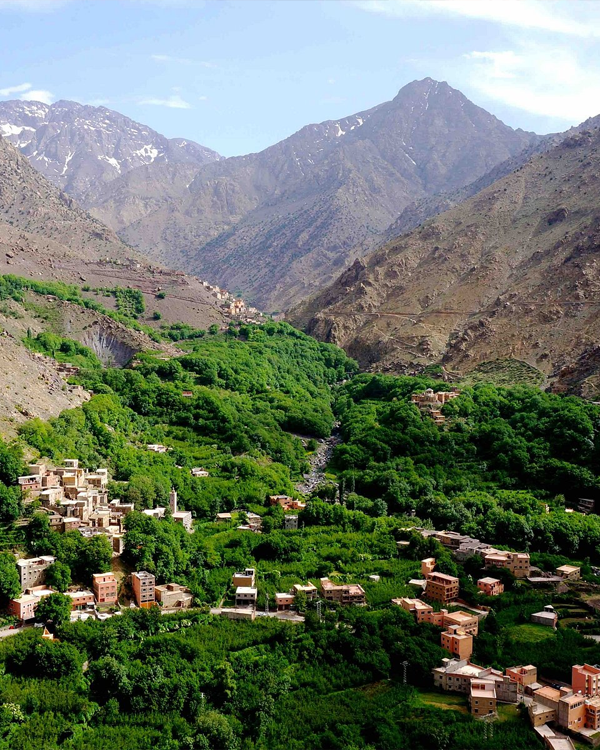 Desert and Mountains
